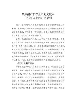 某某副市长在全市防灾减灾工作会议上的讲话提纲.docx