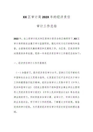 XX区审计局202X年的经济责任审计工作总结.docx