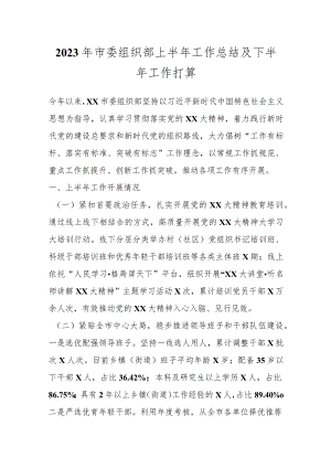 2023年市委组织部上半年工作总结及下半年工作打算.docx