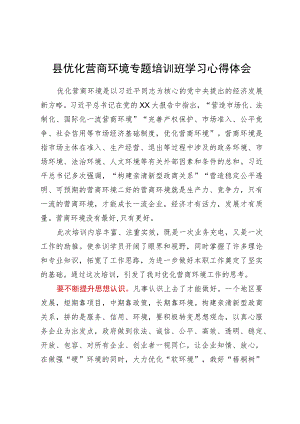 在县优化营商环境专题培训班上的学习心得体会.docx