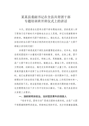 某某县委副书记在全县共青团干部专题培训班开班仪式上的讲话.docx