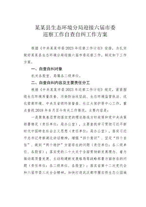 某某县生态环境分局迎接六届市委巡察工作自查自纠工作方案.docx