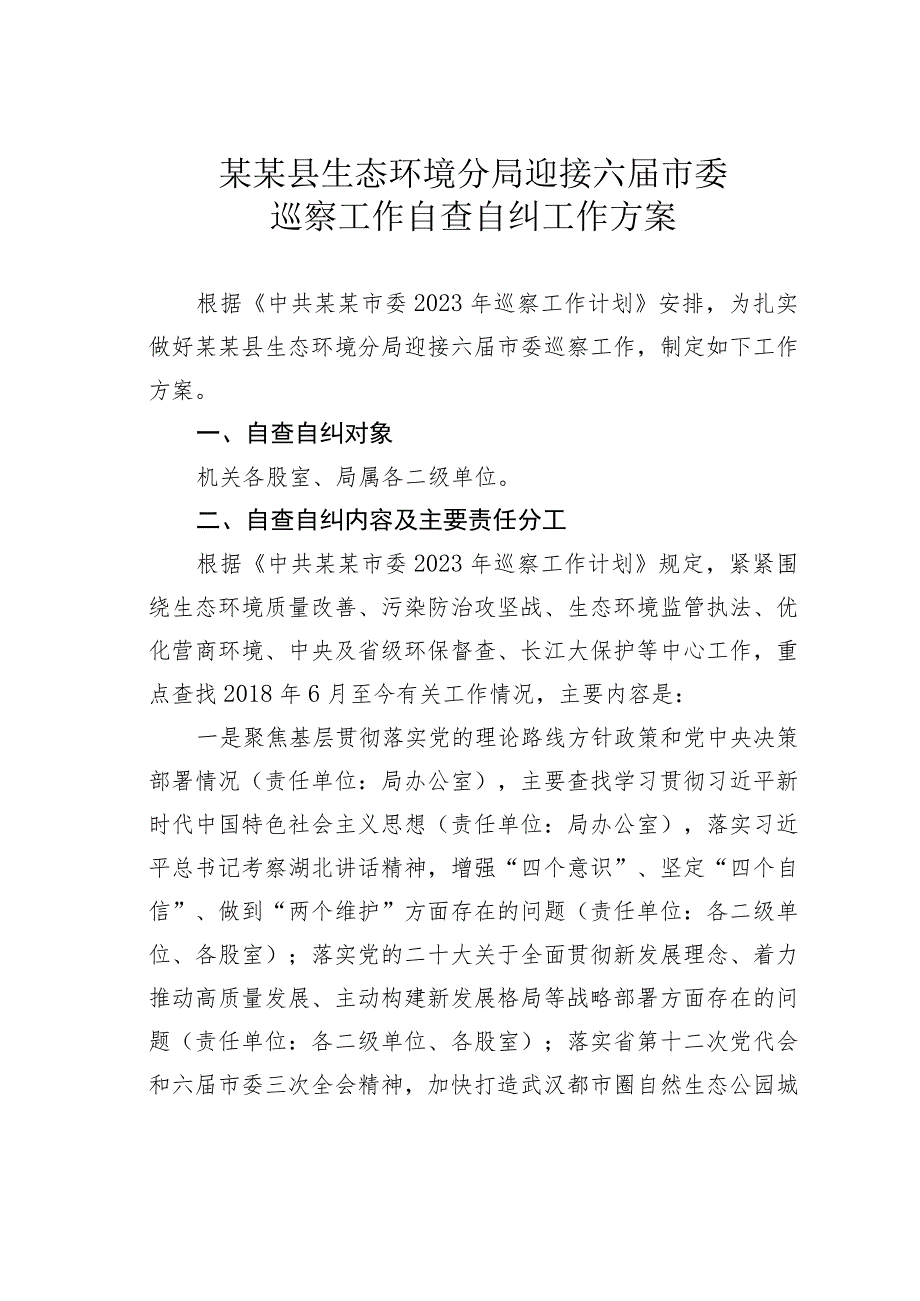 某某县生态环境分局迎接六届市委巡察工作自查自纠工作方案.docx_第1页