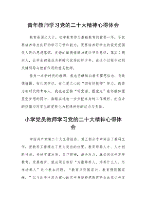 青年教师学习党的二十大精神心得体会(精选三篇).docx