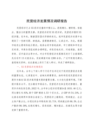 民营经济发展情况调研报告.docx