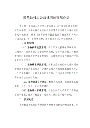 某某县村级公益性岗位管理办法.docx