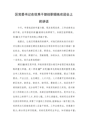 区党委书记在优秀干部挂职锻炼欢迎会上的讲话.docx