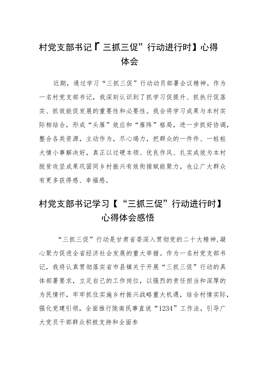 村党支部书记【“三抓三促”行动进行时】心得体会(通用三篇).docx_第1页