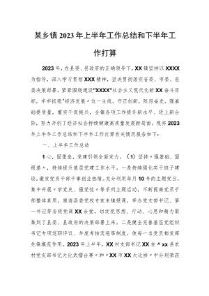 某乡镇2023年上半年工作总结和下半年工作打算.docx