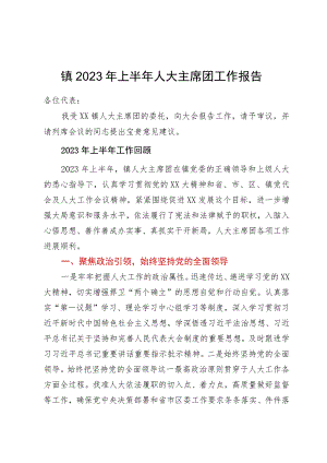 镇2023年上半年人大主席团工作报告.docx