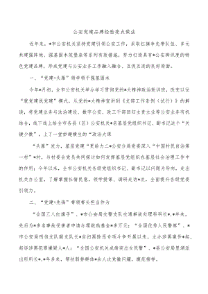 公安党建品牌经验亮点做法.docx