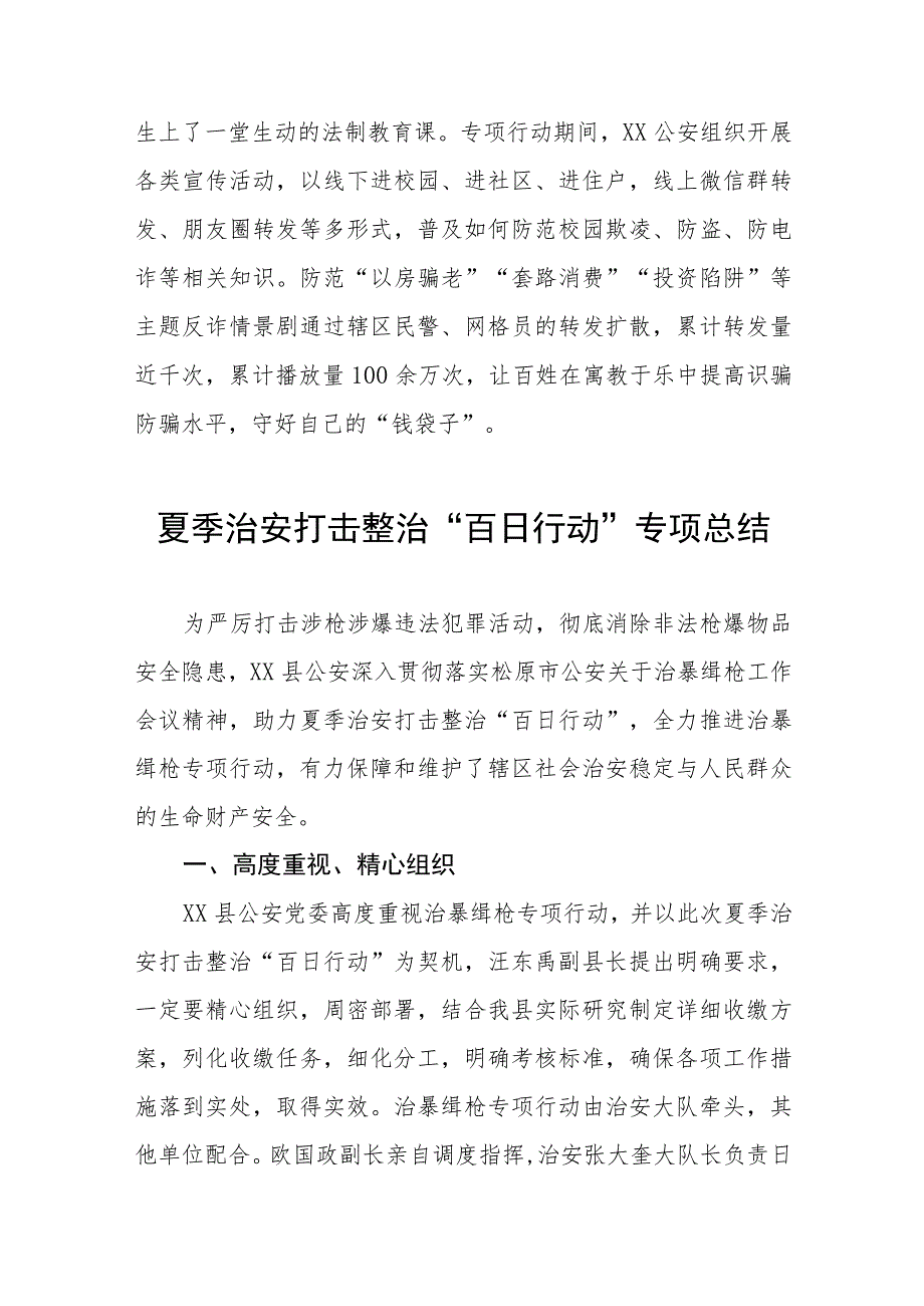 公安夏季治安打击整治“百日行动”阶段性总结报告十篇.docx_第3页