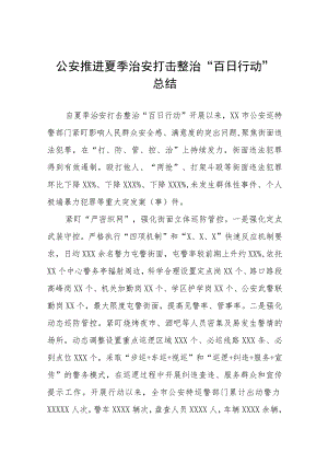 公安推进夏季治安打击整治“百日行动”总结七篇.docx