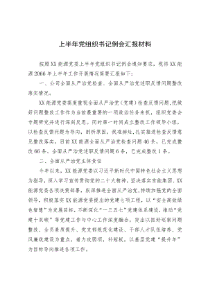 上半年党组织书记例会汇报材料.docx