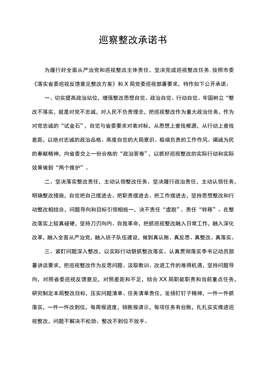 巡察整改承诺书.docx_第1页