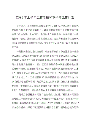 组织部2023年上半年工作总结和下半年工作计划.docx