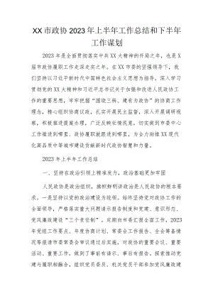 XX市政协2023年上半年工作总结和下半年工作谋划.docx