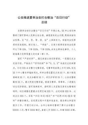 公安推进夏季治安打击整治“百日行动”总结十篇.docx