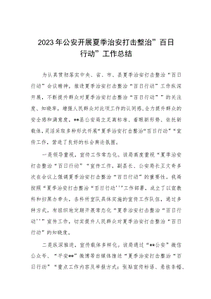 公安派出所推进夏季治安打击整治“百日行动”总结汇报七篇.docx