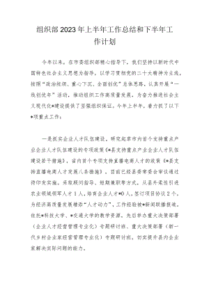 组织部2023年上半年工作总结和下半年工作计划(4).docx