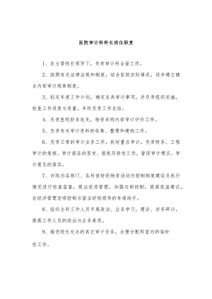 医院审计科科长岗位职责.docx