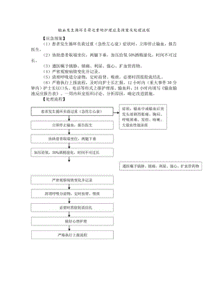 输血发生循环负荷过重的护理应急预案及处理流程.docx