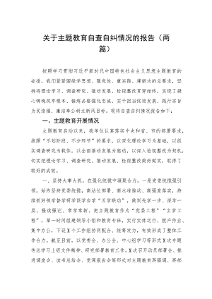 关于主题教育自查自纠情况的报告（两篇）.docx