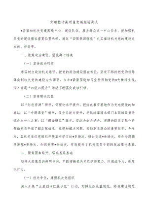 党建推动高质量发展经验亮点.docx