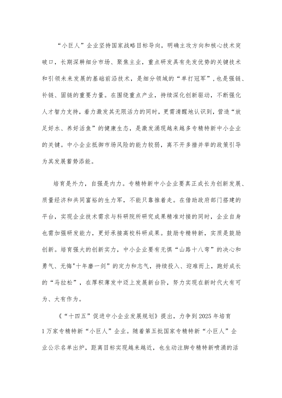 培育专精特新企业心得体会发言稿.docx_第2页