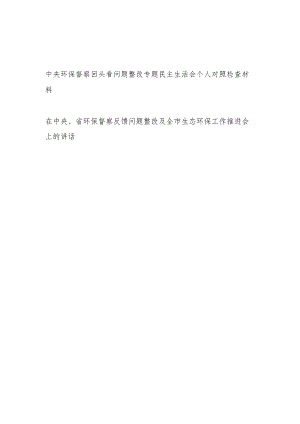 中央环保督察回头看问题整改专题民主生活会个人对照检查材料和在反馈问题整改及全市生态环保工作推进会上的讲话.docx