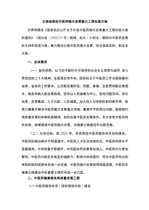 云南省推进中医药振兴发展重大工程实施方案.docx