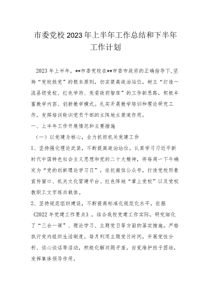 市委党校2023年上半年工作总结和下半年工作计划.docx