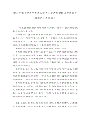 （2篇）学习贯彻《中共中央 国务院关于促进民营经济发展壮大的意见》心得体会.docx