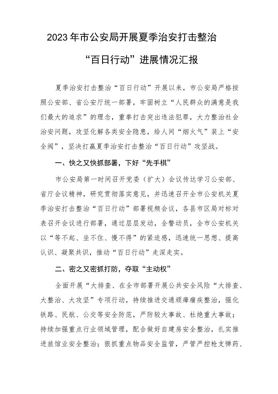 公安推进夏季治安打击整治“百日行动”总结7篇.docx_第3页