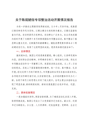 关于陈规陋俗专项整治活动开展情况报告.docx