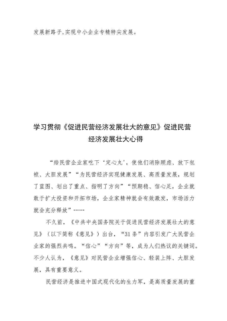 学习贯彻《关于促进民营经济发展壮大的意见》感悟心得发言材料4篇.docx_第3页