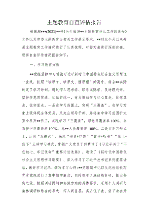 主题教育自查评估报告.docx