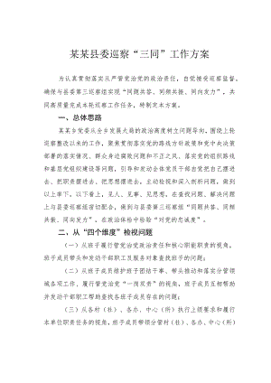 某某县委巡察“三同”工作方案.docx