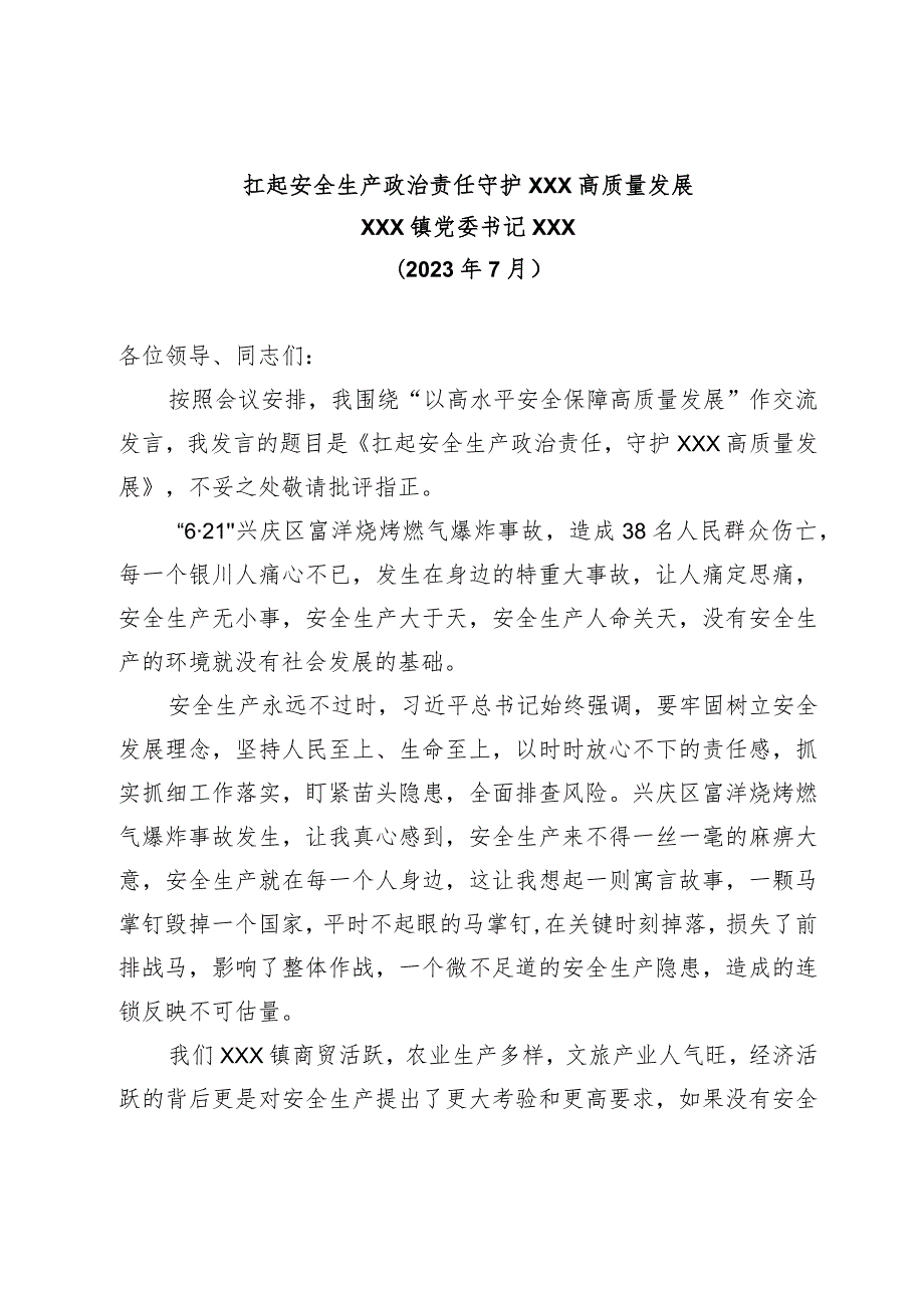 理论研讨——以高水平安全生产保障高质量发展发言材料.docx_第1页