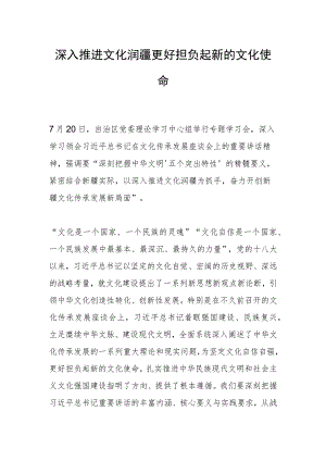 深入推进文化润疆 更好担负起新的文化使命.docx