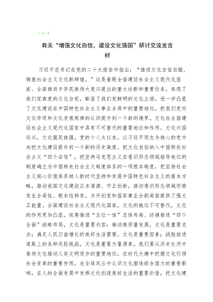 2023年坚定文化自信的发言材料（10篇）.docx