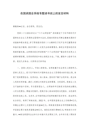 在国资国企系统专题读书班上的发言材料.docx