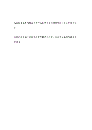 2023区纪委监委纪检监察干部队伍教育整顿检视整治环节工作情况报告汇报.docx