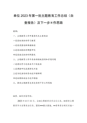 单位2023年第一批主题教育工作总结（自查报告）及下一步工作思路.docx