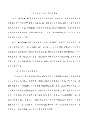 村庄经营点亮乡村工作推进强调.docx