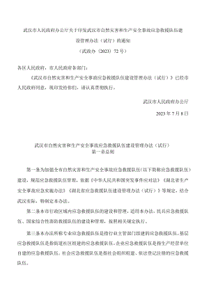 武汉市人民政府办公厅关于印发武汉市自然灾害和生产安全事故应急救援队伍建设管理办法(试行)的通知.docx