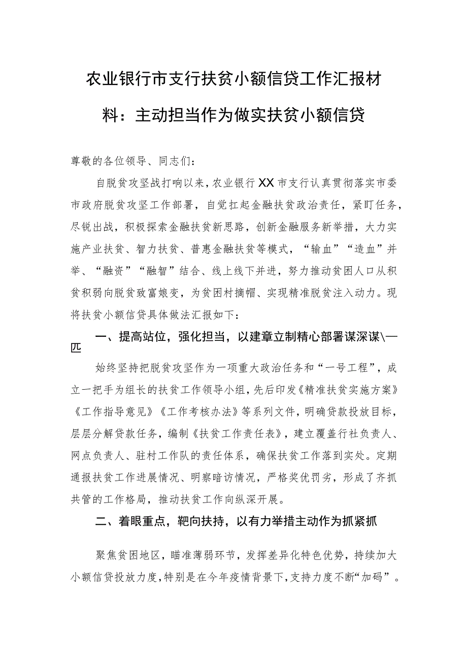 农业银行市支行扶贫小额信贷工作汇报.docx_第1页