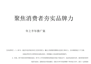 聚焦消费者夯实品牌力某品牌产品上半年推广案.docx