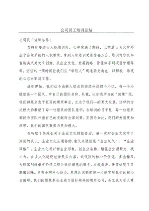 公司员工培训总结.docx