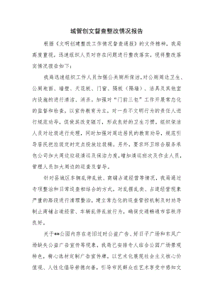 城管创文督查整改情况报告.docx